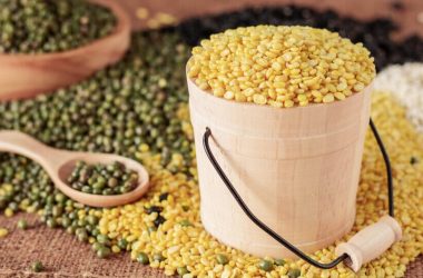 rsz_1rsz_soy-beans-on-table 870×543-min